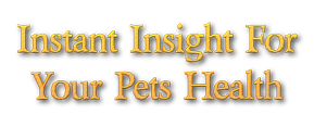 Instant Insight For Your Pets Health