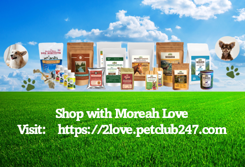 Shop with Moreah Love